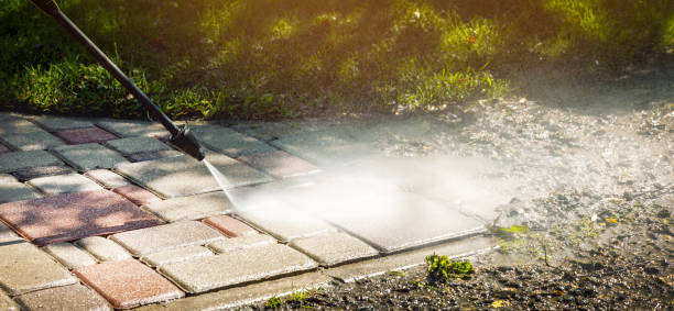 Best Soft Washing for Delicate Surfaces in Caon City, CO