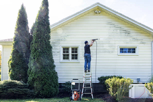 Best Window and Screen Pressure Cleaning in Caon City, CO